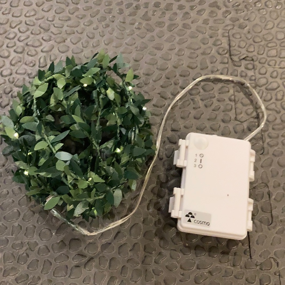 Leaf String lights 10ft